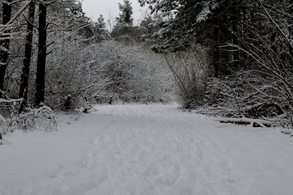 Deponie Wannsee with snow 2021-01-30 01