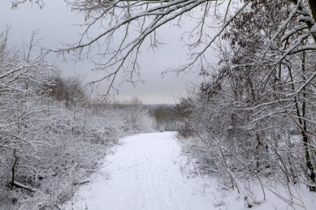Deponie Wannsee with snow 2021-01-30 19