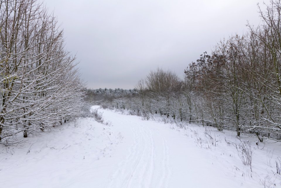 Deponie Wannsee with snow 2021-01-30 12