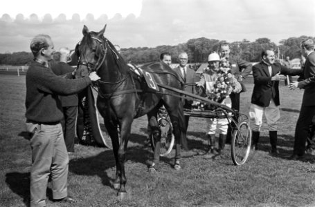 Derby op Duindigt J van Leeuwen, Bestanddeelnr 916-7115