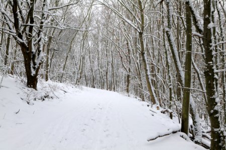 Deponie Wannsee with snow 2021-01-30 20