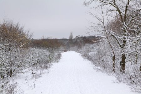 Deponie Wannsee with snow 2021-01-30 66