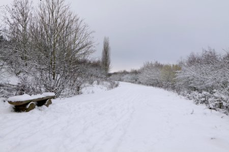 Deponie Wannsee with snow 2021-01-30 47