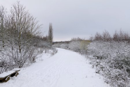 Deponie Wannsee with snow 2021-01-30 45