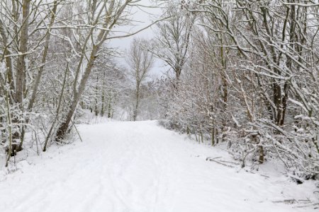 Deponie Wannsee with snow 2021-01-30 41