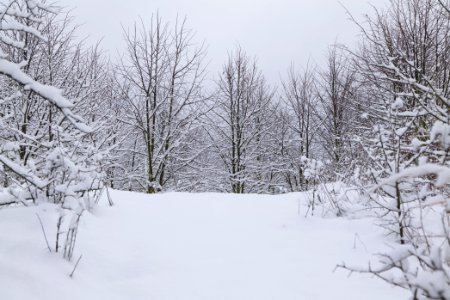 Deponie Wannsee with snow 2021-01-30 30