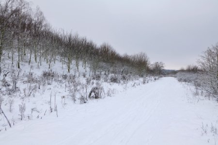 Deponie Wannsee with snow 2021-01-30 57