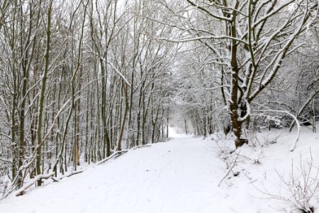 Deponie Wannsee with snow 2021-01-30 24