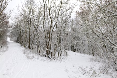 Deponie Wannsee with snow 2021-01-30 88