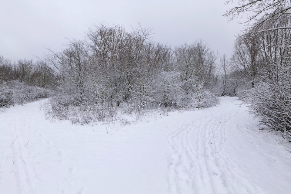 Deponie Wannsee with snow 2021-01-30 28