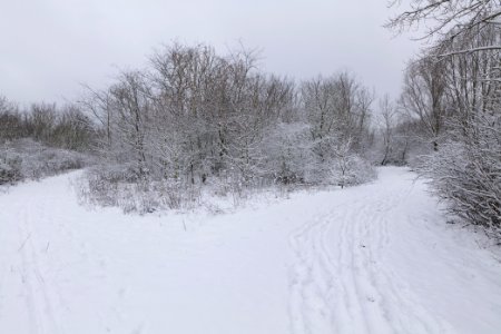Deponie Wannsee with snow 2021-01-30 28