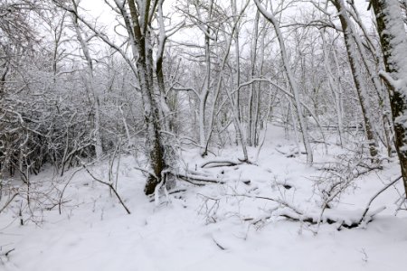 Deponie Wannsee with snow 2021-01-30 23