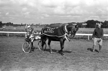 Derby op Duindigt J van Leeuwen, Bestanddeelnr 916-7118