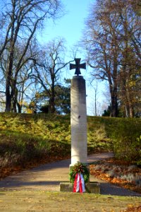 Den Helden des Reserve Infanterie Regiments Nr. 273 1914-1918 - Braunschweig, Germany - DSC04426