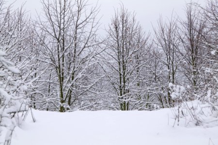 Deponie Wannsee with snow 2021-01-30 29
