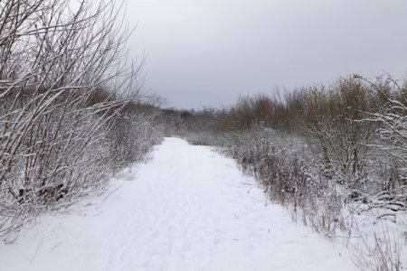 Deponie Wannsee with snow 2021-01-30 74