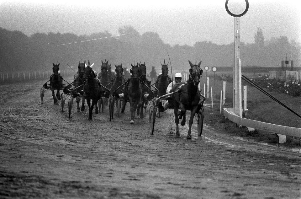 Derby voor dravers op Duindigt, Bestanddeelnr 926-5921