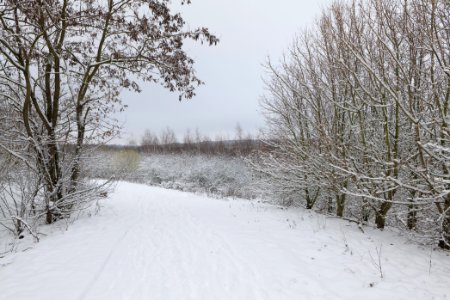 Deponie Wannsee with snow 2021-01-30 43