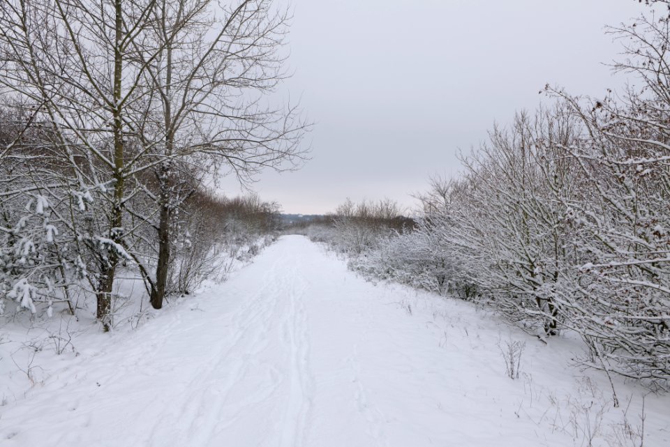 Deponie Wannsee with snow 2021-01-30 54