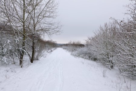 Deponie Wannsee with snow 2021-01-30 54