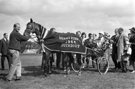 Derby op Duindigt J van Leeuwen, Bestanddeelnr 916-7117