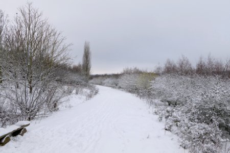 Deponie Wannsee with snow 2021-01-30 46