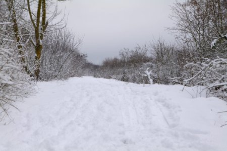 Deponie Wannsee with snow 2021-01-30 83
