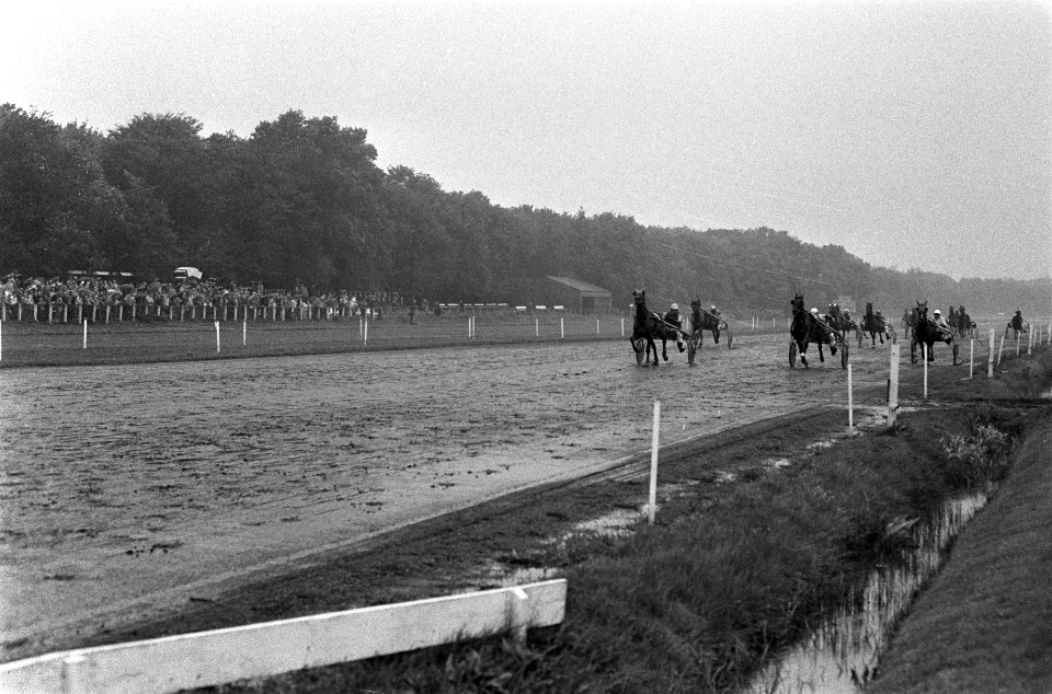 Derby voor dravers op Duindigt, Bestanddeelnr 926-5922
