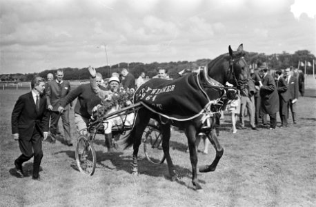 Derby op Duindigt J van Leeuwen, Bestanddeelnr 916-7114