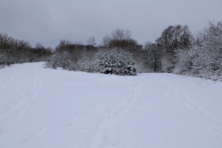 Deponie Wannsee with snow 2021-01-30 05