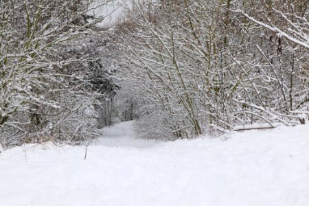 Deponie Wannsee with snow 2021-01-30 75