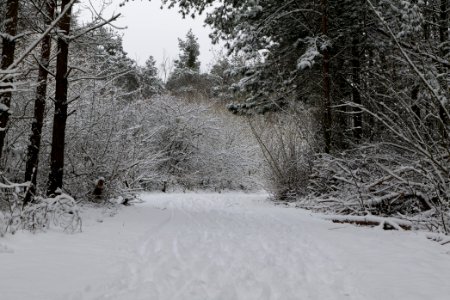 Deponie Wannsee with snow 2021-01-30 02