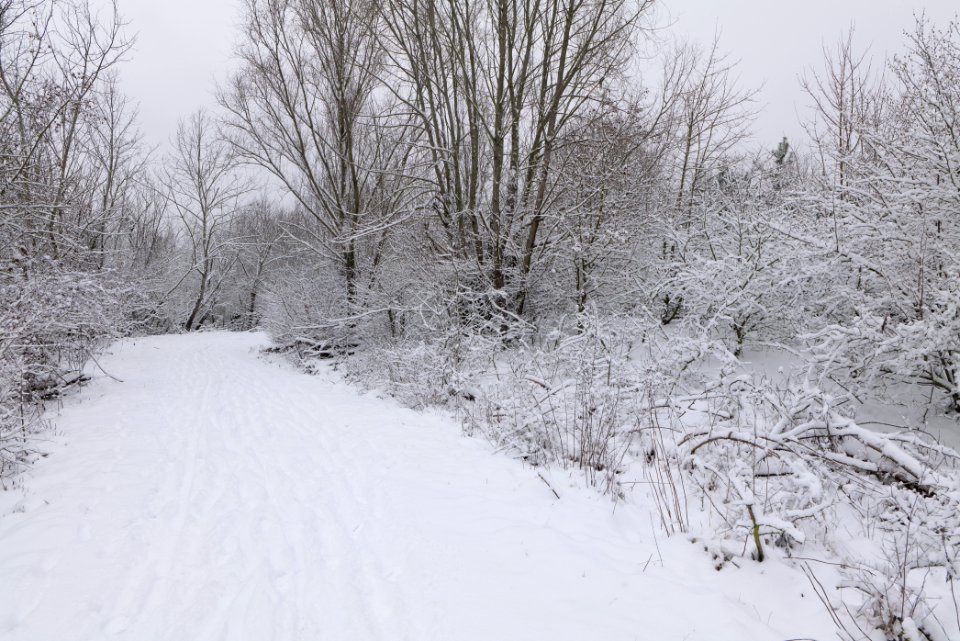 Deponie Wannsee with snow 2021-01-30 35