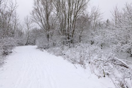 Deponie Wannsee with snow 2021-01-30 35