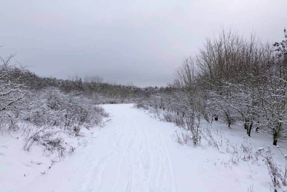 Deponie Wannsee with snow 2021-01-30 11