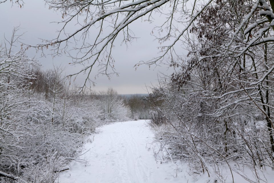 Deponie Wannsee with snow 2021-01-30 18