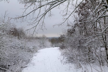 Deponie Wannsee with snow 2021-01-30 18