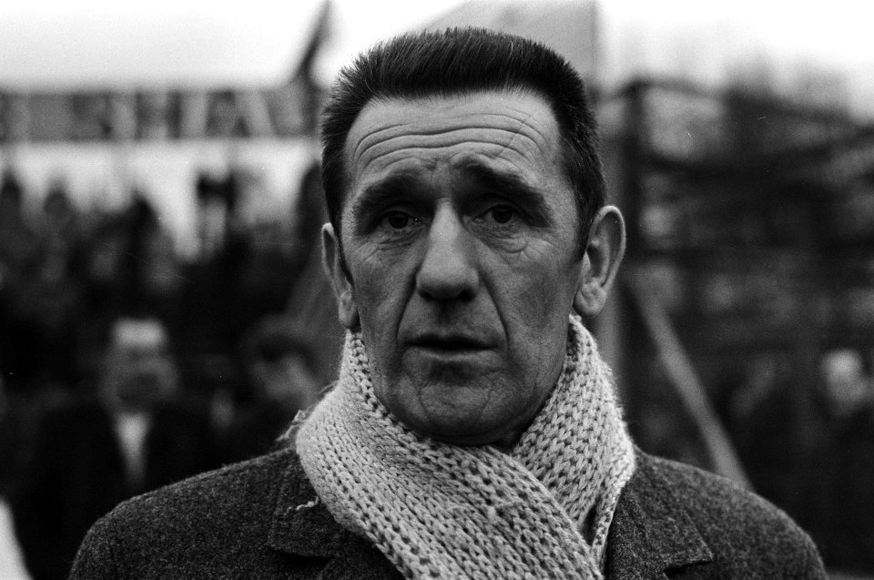 Den Haag tegen MVV 1-1, trainer George Knobel (kop), Bestanddeelnr 926-1694