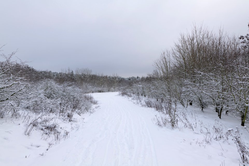 Deponie Wannsee with snow 2021-01-30 10