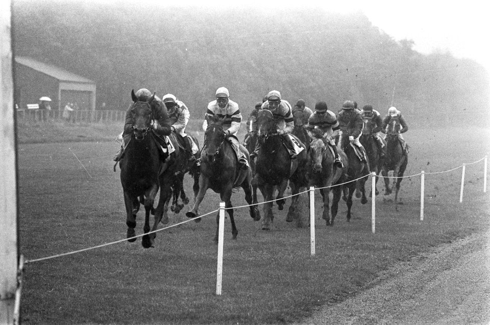 Derby te Duindigt, de paarden tijdens de race, Bestanddeelnr 925-7277
