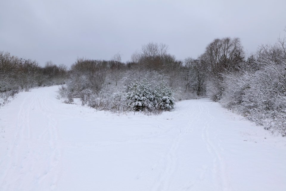 Deponie Wannsee with snow 2021-01-30 09