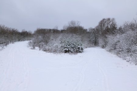 Deponie Wannsee with snow 2021-01-30 09