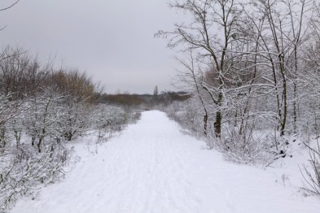 Deponie Wannsee with snow 2021-01-30 68