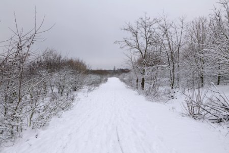 Deponie Wannsee with snow 2021-01-30 67