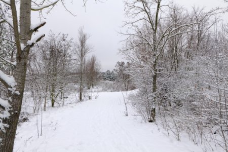 Deponie Wannsee with snow 2021-01-30 65