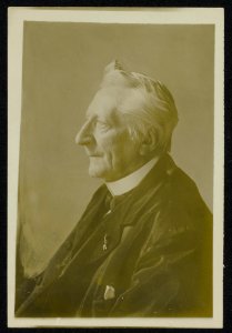 Den heer S.A. de Flines 1835-1917 gewezen directeur daarna president-commissar, Bestanddeelnr 158-0371
