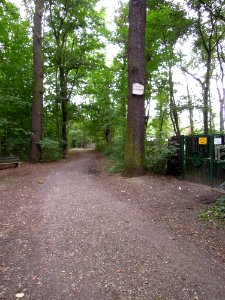 Der Dachsbau - Forstrevier im Leipziger Auwald - teils durch Wildpark genutzt 2017