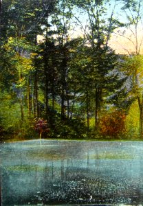 Der Bachtalenweiher um 1900 mit dem Angebot zum Gondeln
