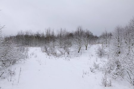 Deponie Wannsee with snow 2021-01-30 38