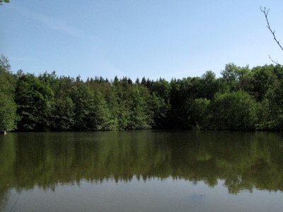 Der Bombensee im Einkornwald vom Nordufer